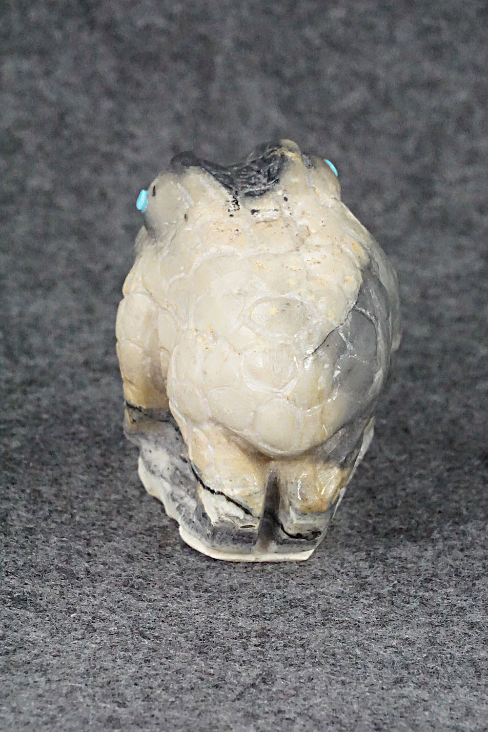 Frog Zuni Fetish Carving - Carlton Kaamasee
