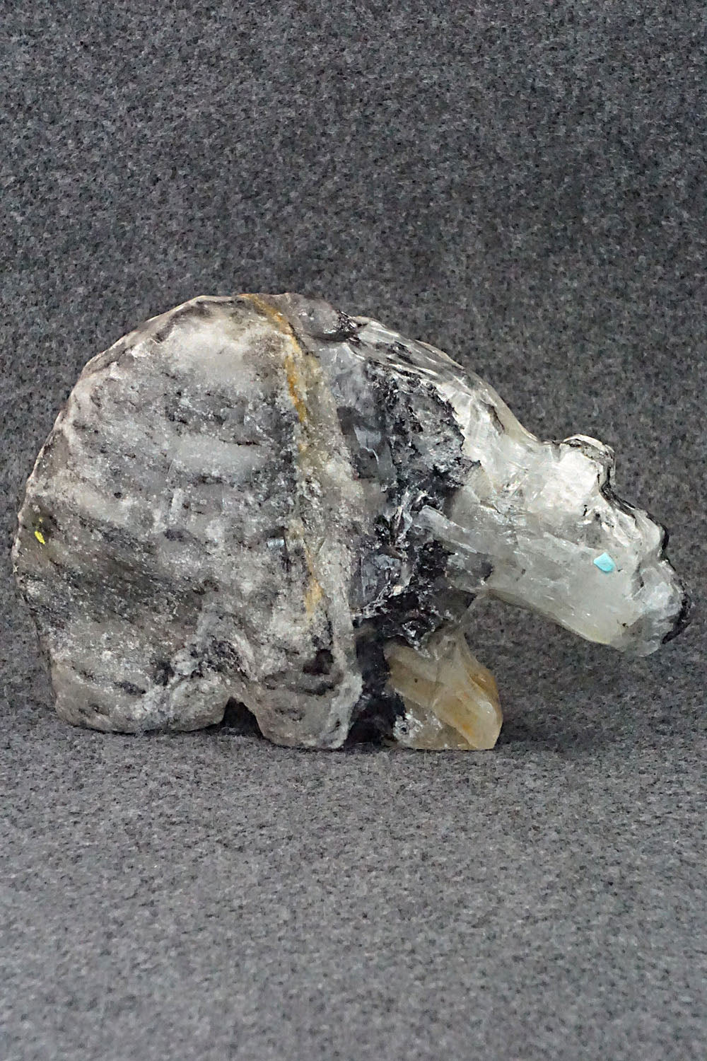 Bear Zuni Fetish Carving - Donovan Laiwakete