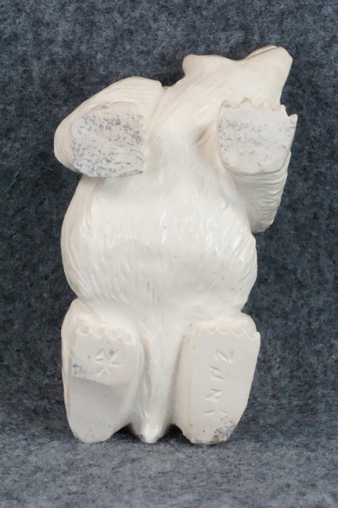 Bear Zuni Fetish Carving - Derrick Kaamasee