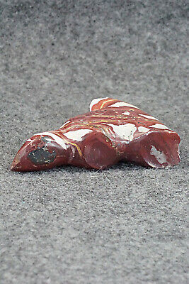 Coyote Zuni Fetish Carving - Daphne Quam