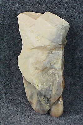 Wolf Zuni Fetish Carving - Wilfred Cheama