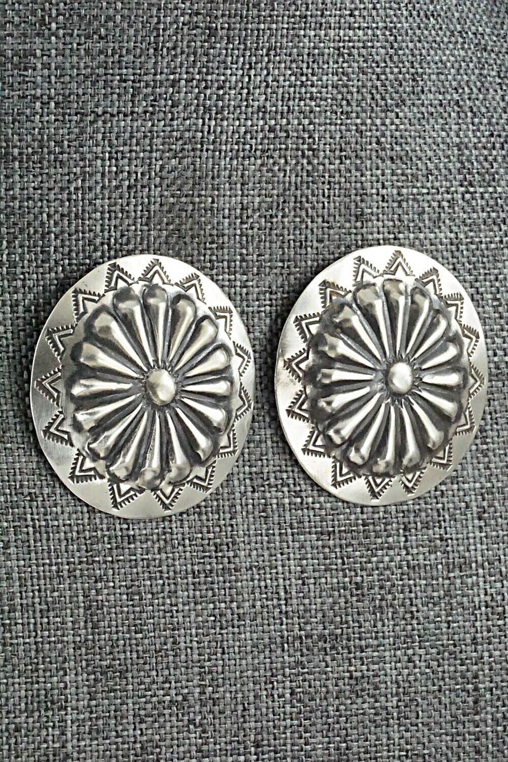 Sterling Silver Earrings - Arlene Soce