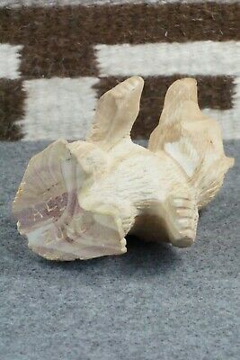 Bear Zuni Fetish Carving - Albert Eustace