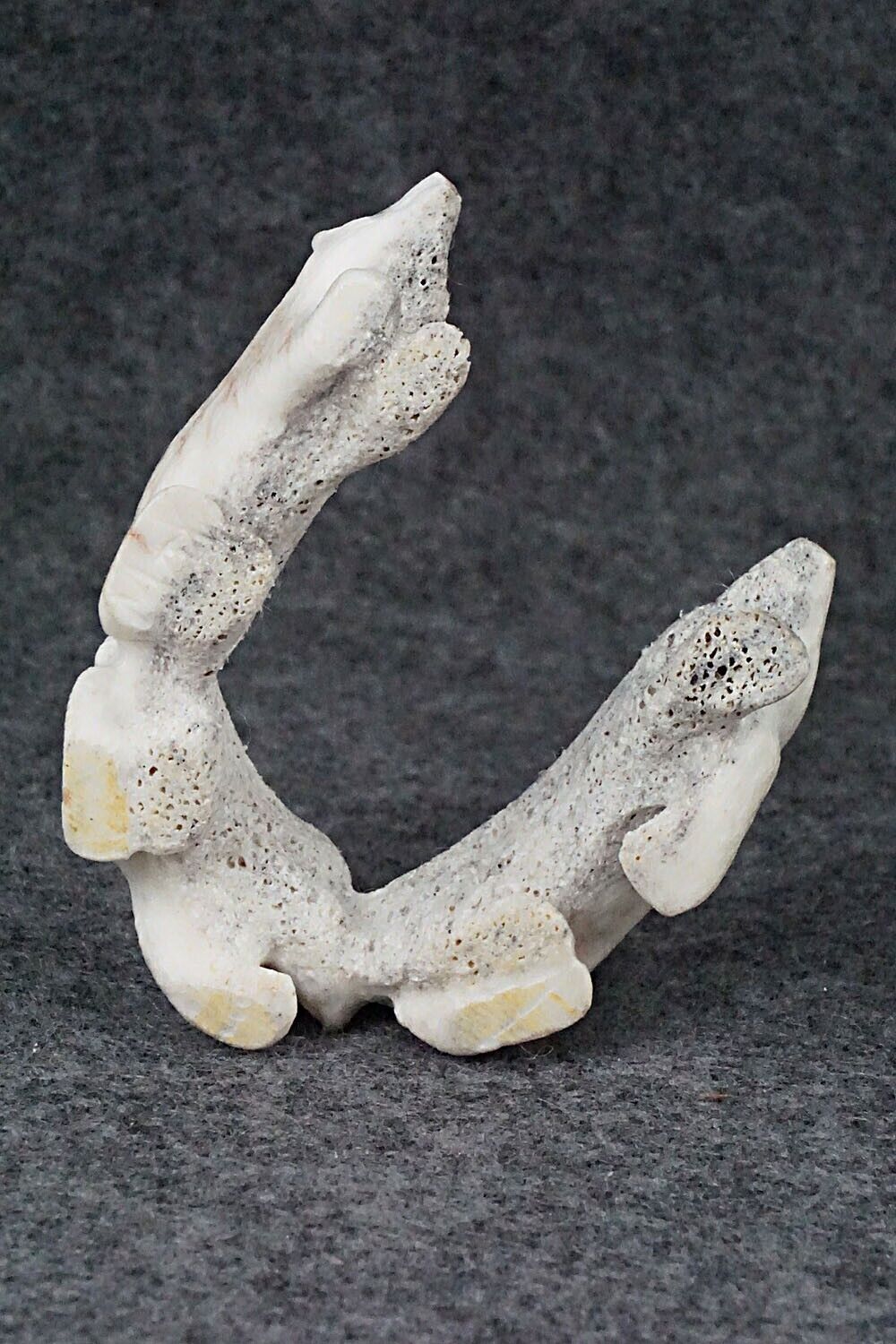 Bear Zuni Fetish Carving - Maxx Laate