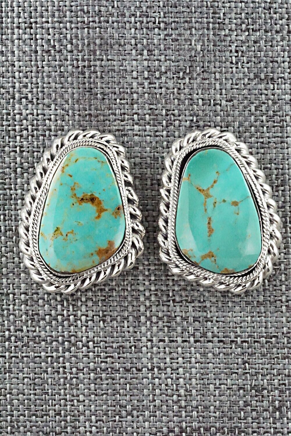 Turquoise and Sterling Silver Earrings - Sharon McCarthy