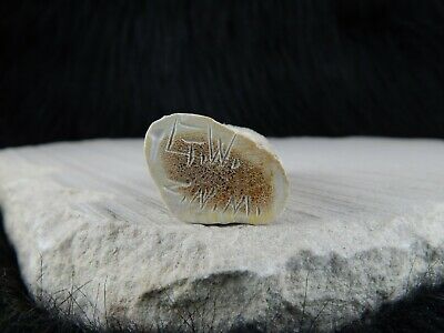 Eagle - Zuni Fetish - Garrick Weeka - Zuni Eagle Carving - Native American - High Lonesome Trading