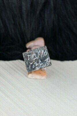Bird Zuni Fetish Carving- Taylor Gia - High Lonesome Trading
