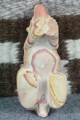 Bear Zuni Fetish Carving - Derrick Kaamasee