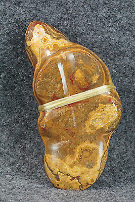 Beaver Zuni Fetish Carving - Daphne Quam