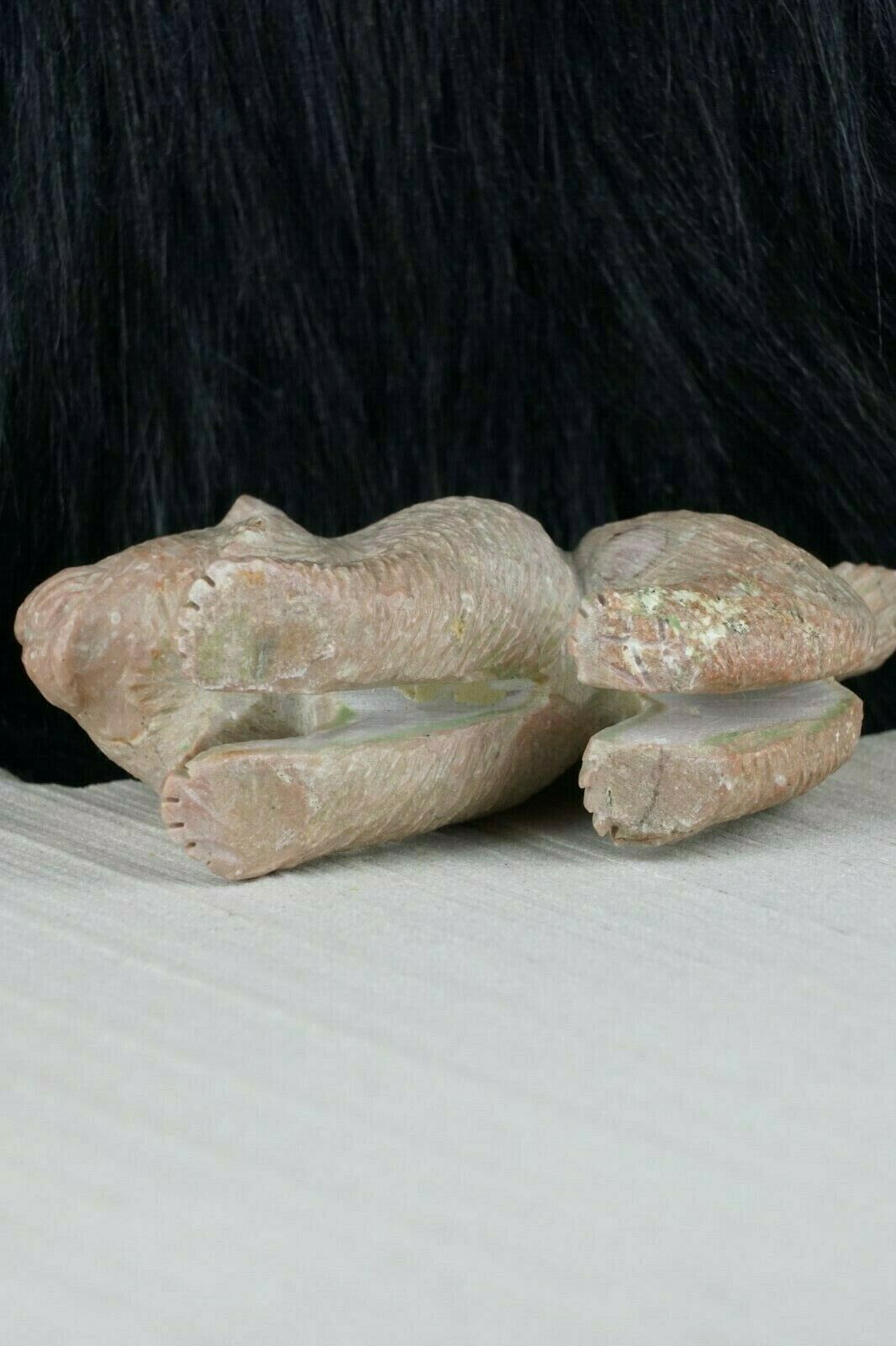 Bobcat Zuni Fetish Carving - Jonas Hastito - High Lonesome Trading
