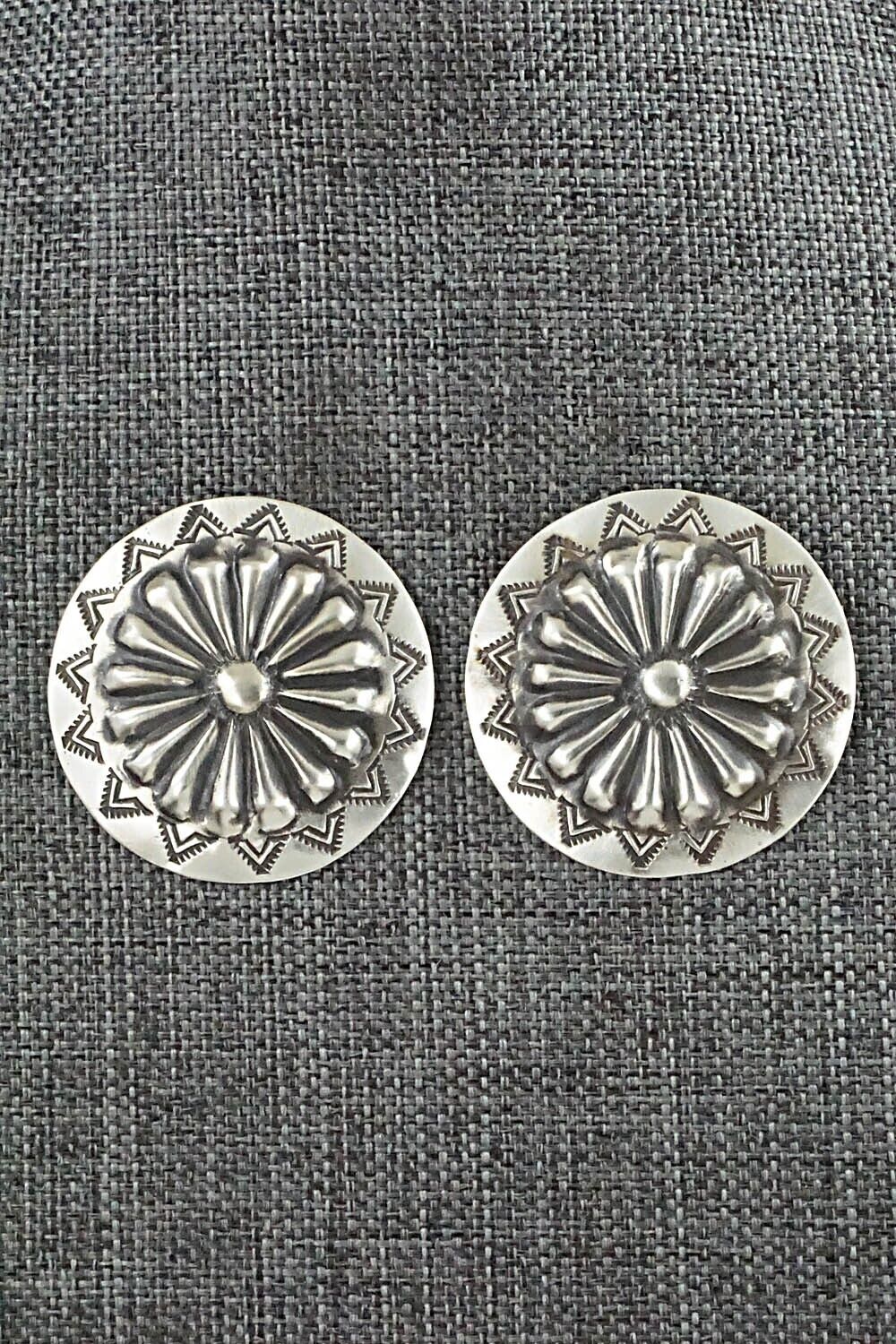 Sterling Silver Earrings - Arlene Soce