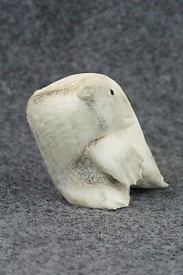 Bear Zuni Fetish Carving - Maxx Laate