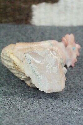 Rooster Zuni Fetish Carving - Derrick Kaamasee - High Lonesome Trading