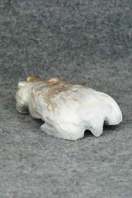 Badger Zuni Fetish Carving - Derrick Kaamasee