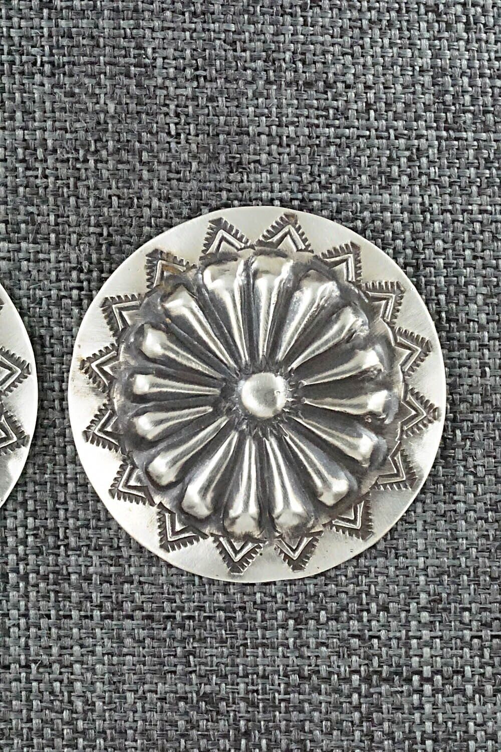 Sterling Silver Earrings - Arlene Soce