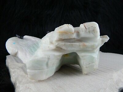 Buffalo Zuni Carving - Kevin Quam - High Lonesome Trading