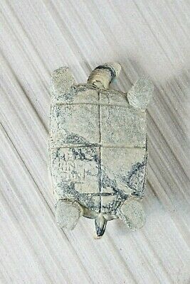Turtle Zuni Fetish Carving - Herbert Him - High Lonesome Trading