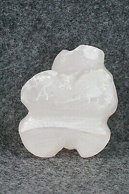 Bear Zuni Fetish Carving - Ariane Quam