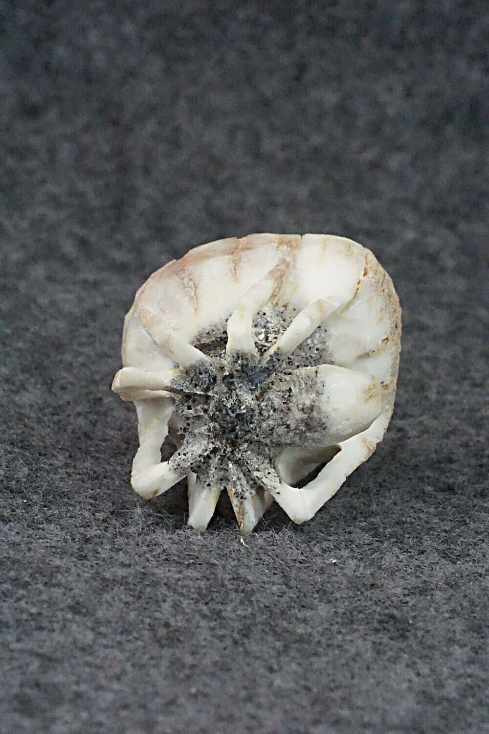 Spider Fetish Carving - Lewis Malie Jr.