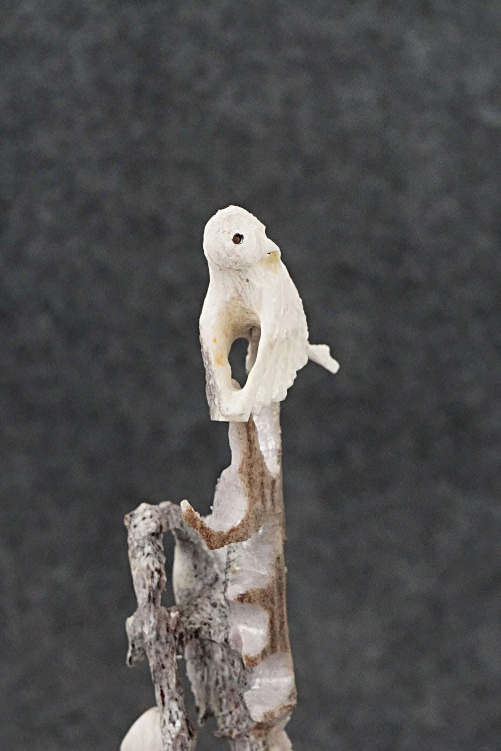 Owls Zuni Fetish Carving - Ruben Najara