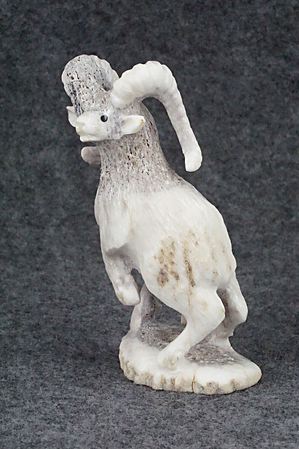 Ram Zuni Fetish Carving - Maxx Laate