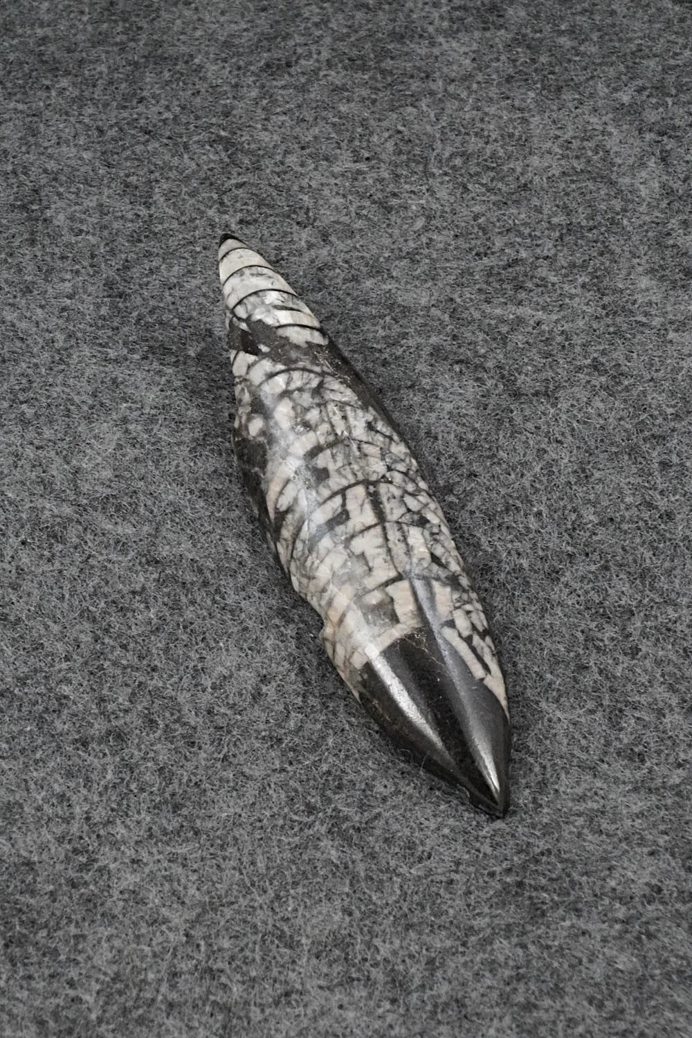 Mole Zuni Fetish Carving - Abby Quam Panteah
