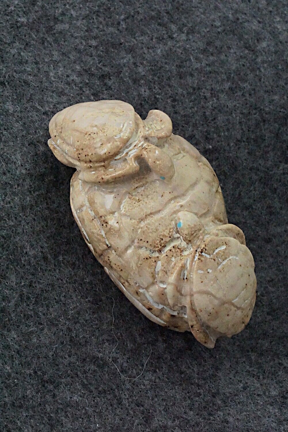 Turtles Zuni Fetish Carving - Ariane Quam