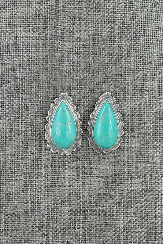 Turquoise & Sterling Silver Earrings - Carlos Francisco
