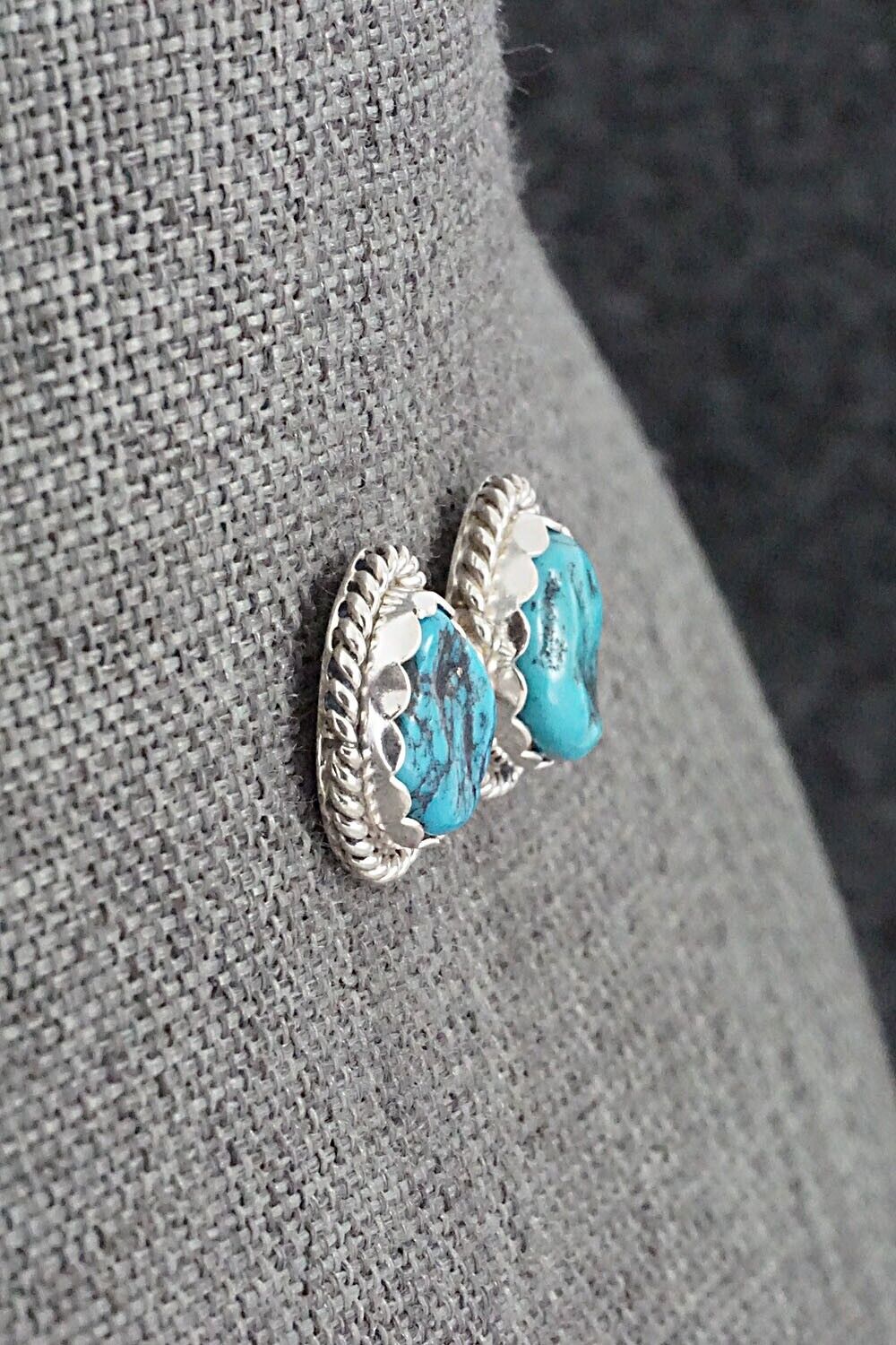 Turquoise & Sterling Silver Earrings - Isabelle John