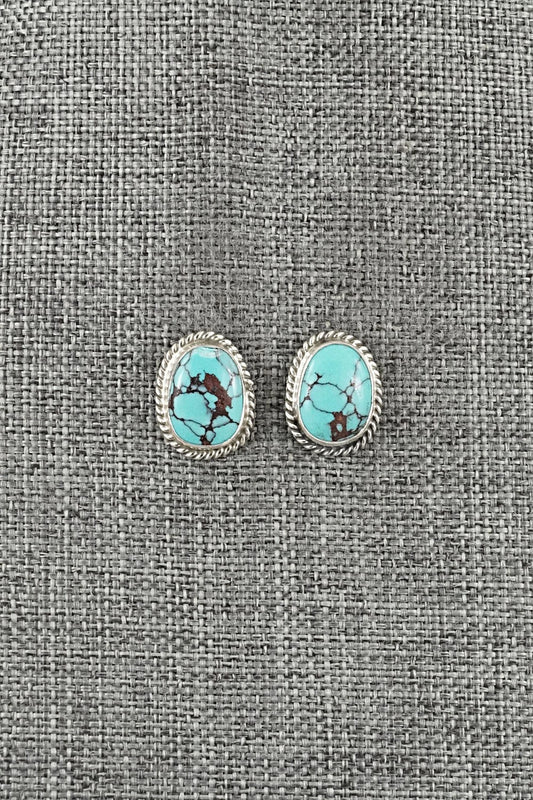 Turquoise & Sterling Silver Earrings - Eugene Gruber
