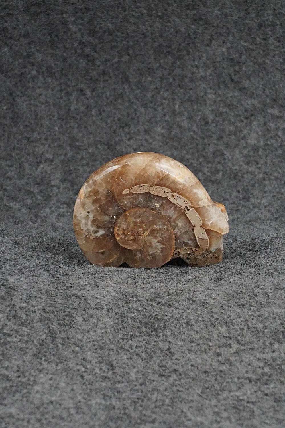 Bear Zuni Fetish Carving - Kenric Laiwakete