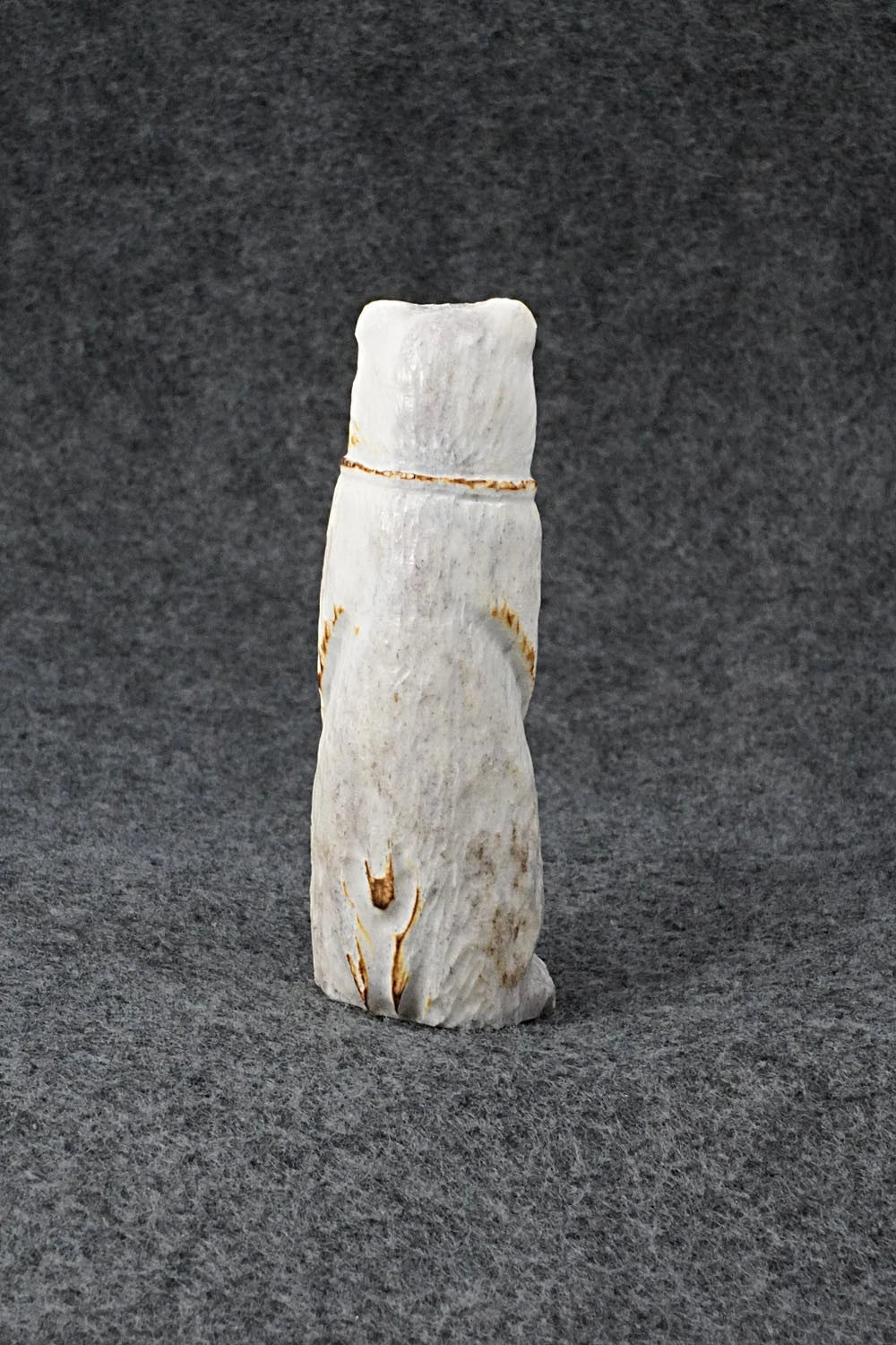 Bear Zuni Fetish Carving - Maxx Laate