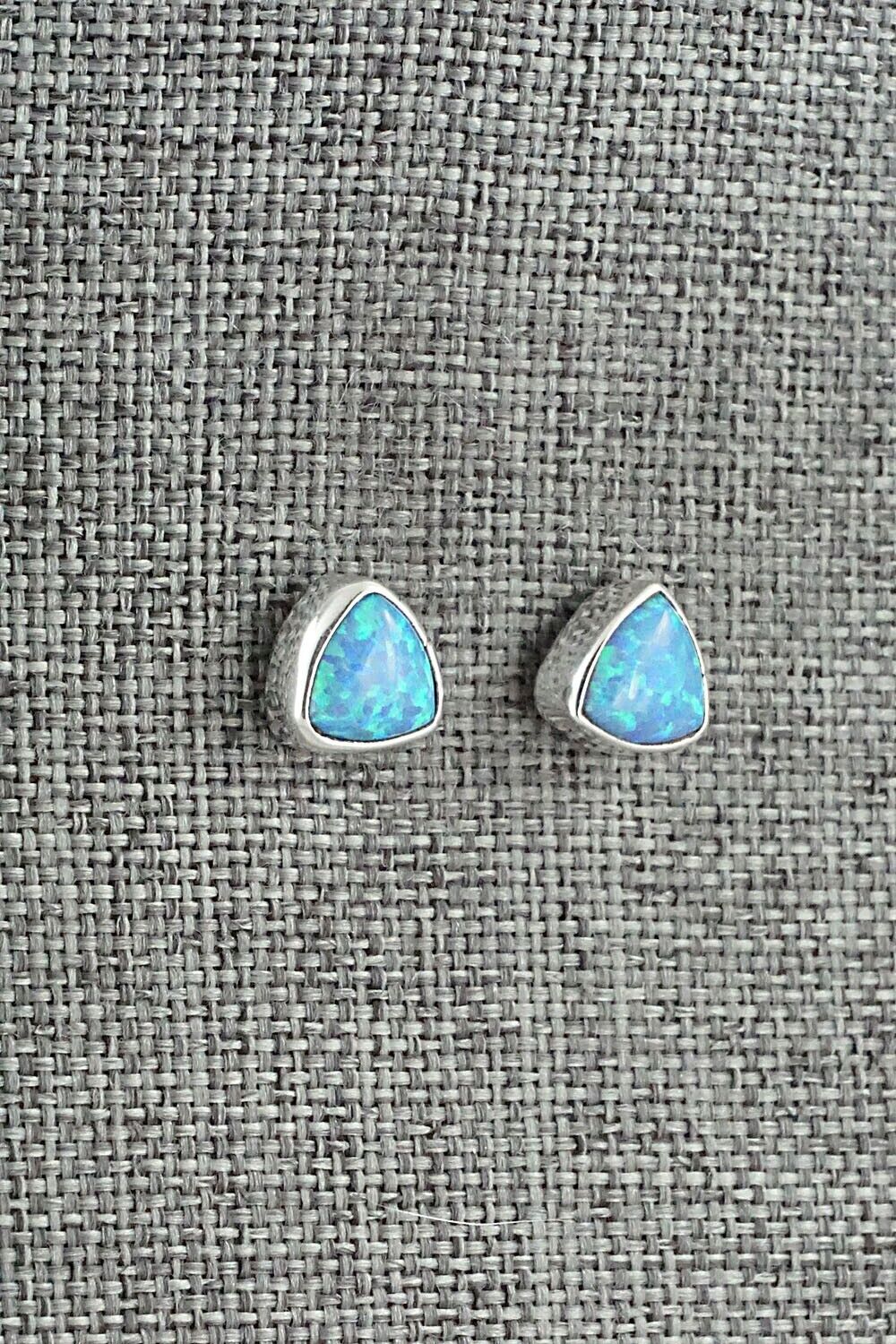 Opalite & Sterling Silver Earrings - Emery Spencer