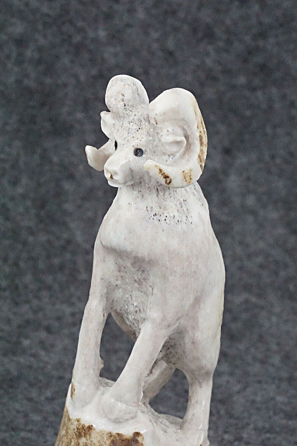 Ram Zuni Fetish Carving - Maxx Laate
