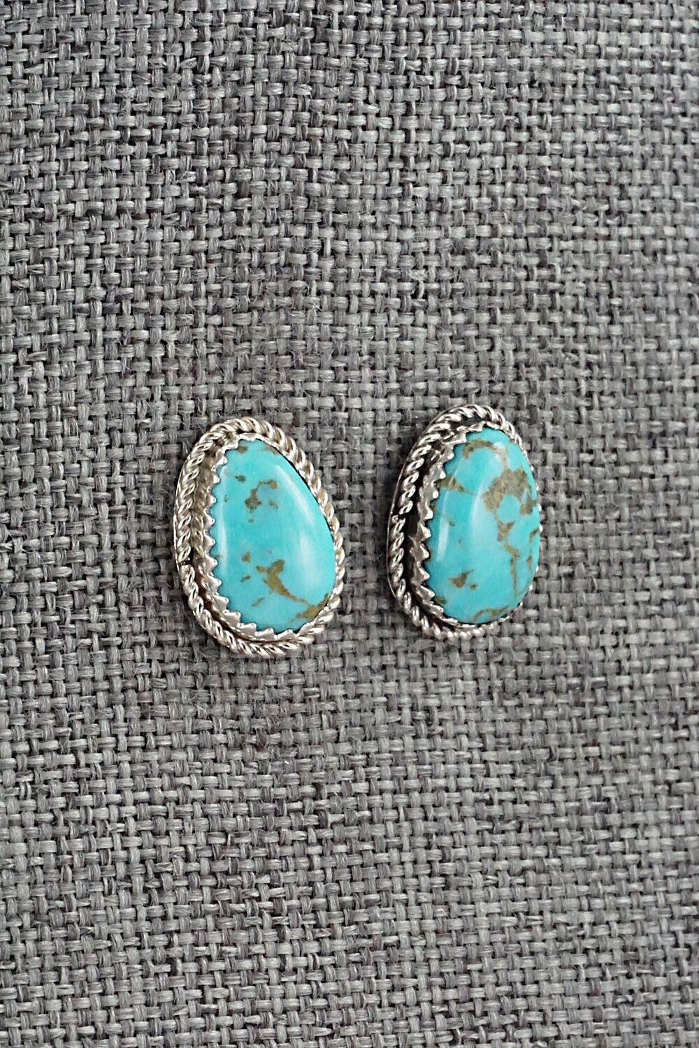 Turquoise & Sterling Silver Earrings - Sally Arviso