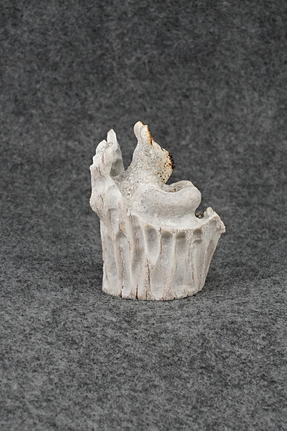 Bear Zuni Fetish Carving - Ruben Najera