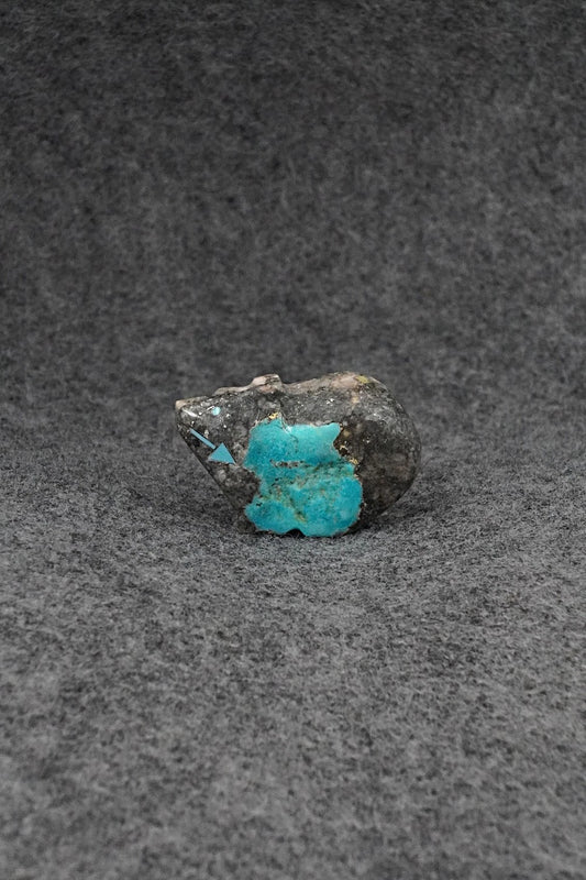 Bear Zuni Fetish Carving - Abby Panteah Quam