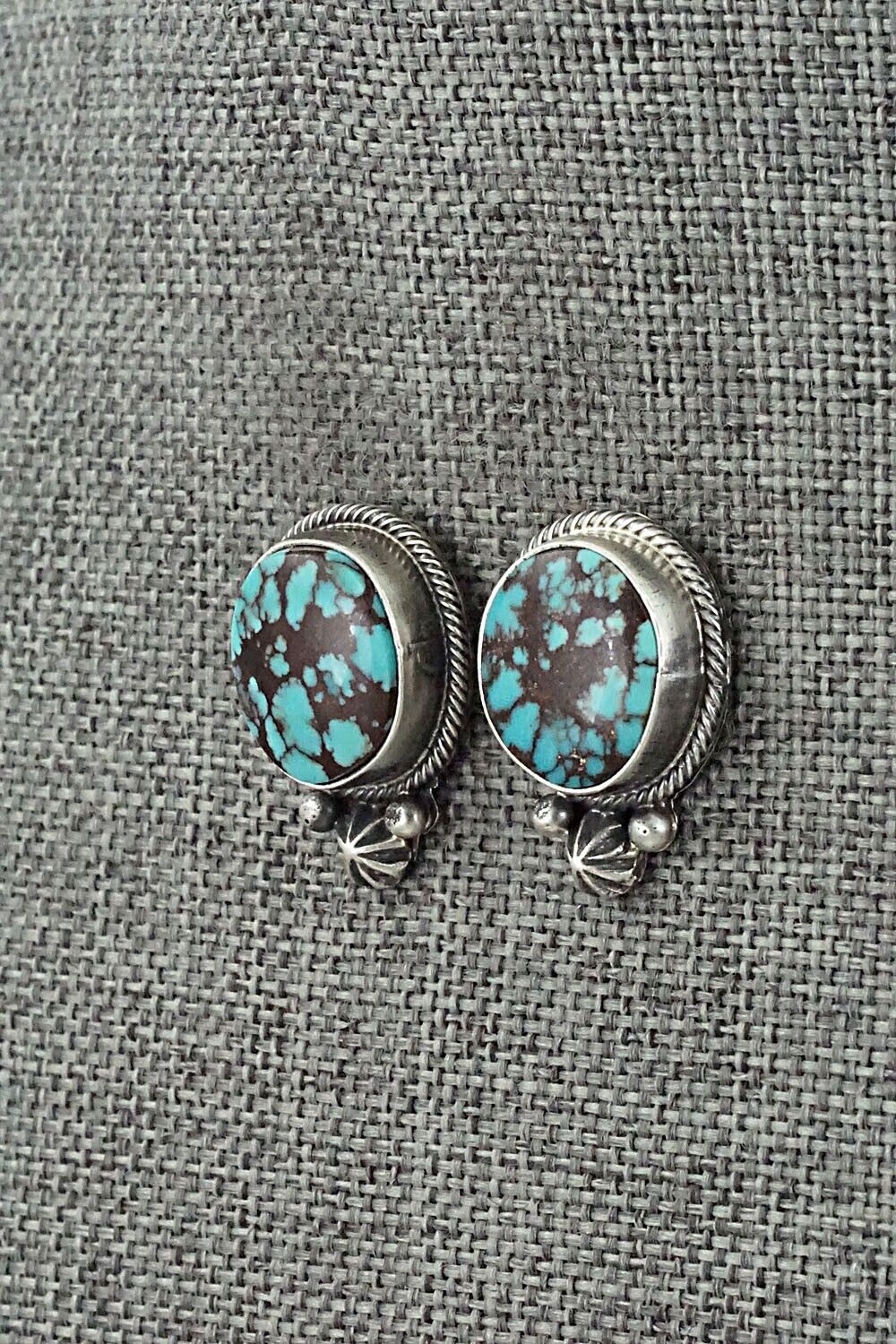 Turquoise & Sterling Silver Pendant & Earrings Set - Darrin Livingston