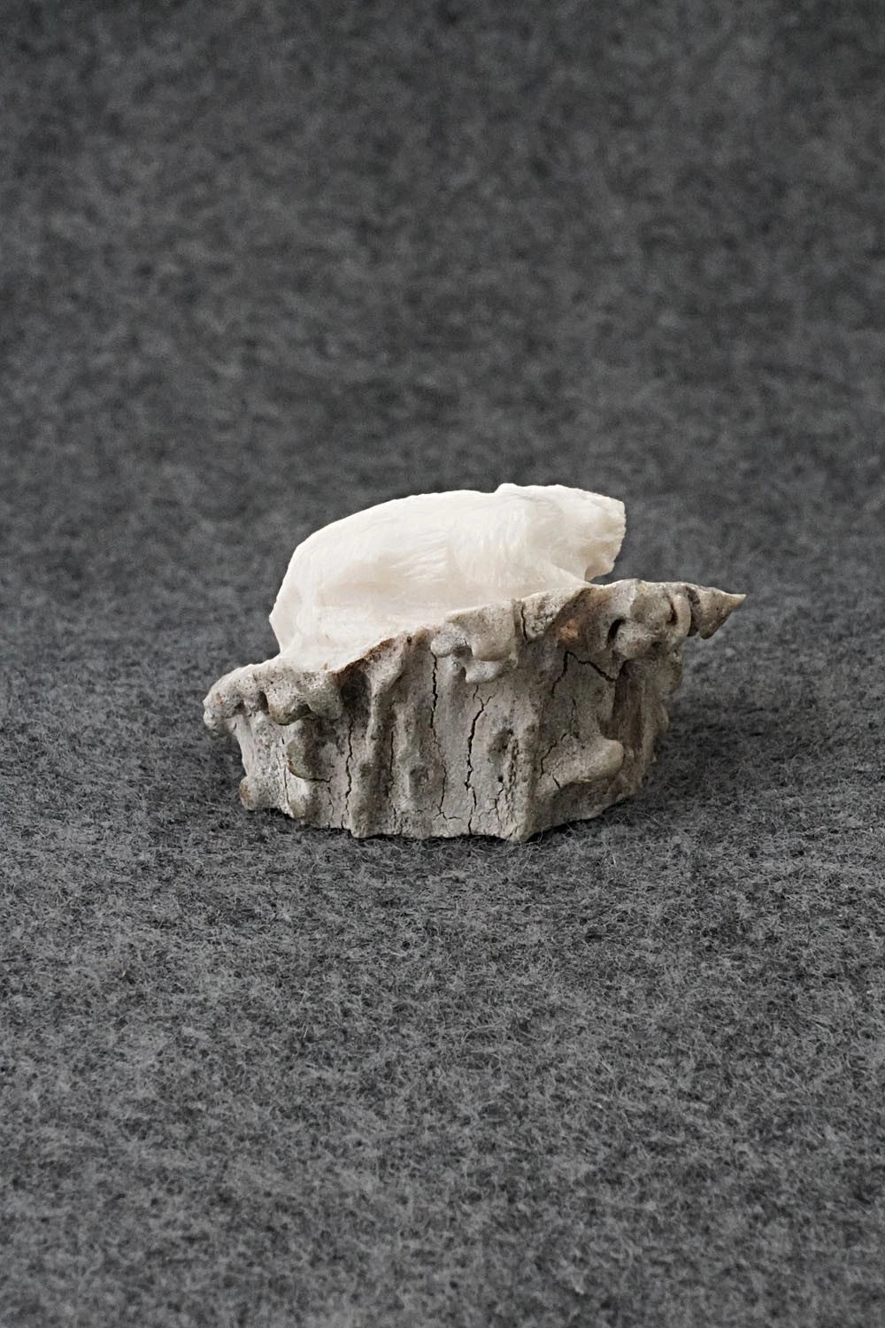 Fox Zuni Fetish Carving - Chris Peina
