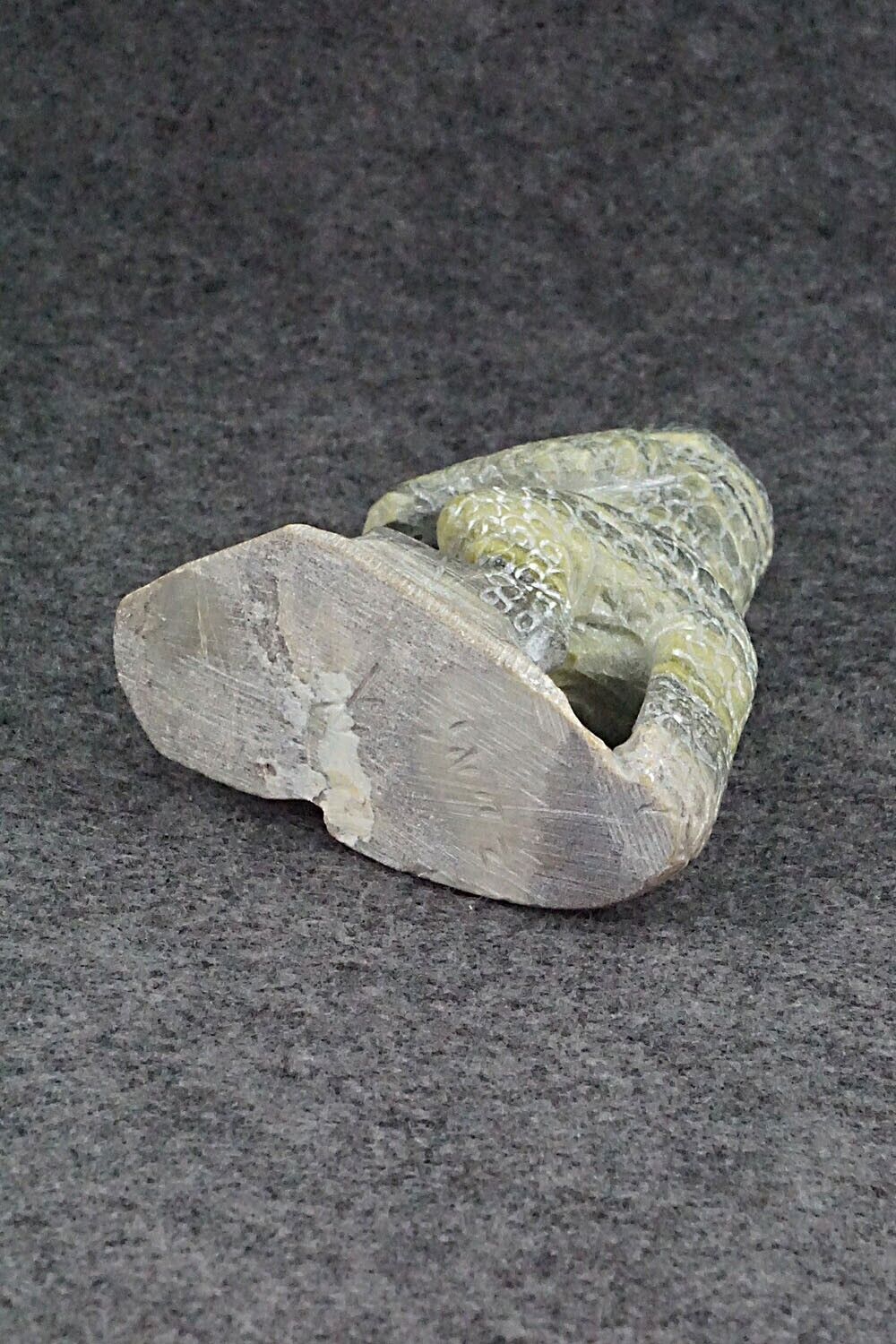 T-Rex Dinosaur Zuni Fetish Carving - Derrick Kaamasee
