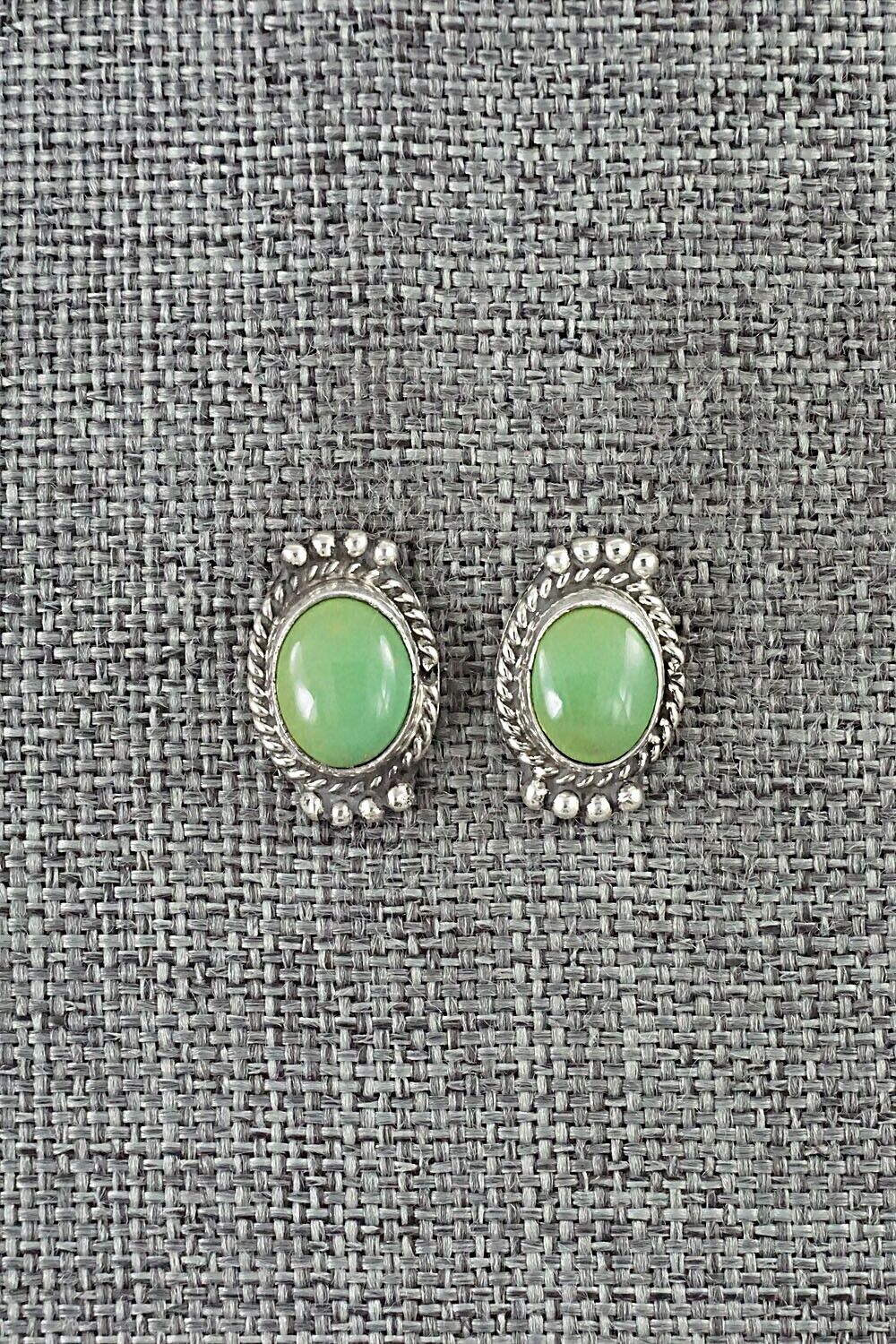 Turquoise & Sterling Silver Earrings - Jan Mariano