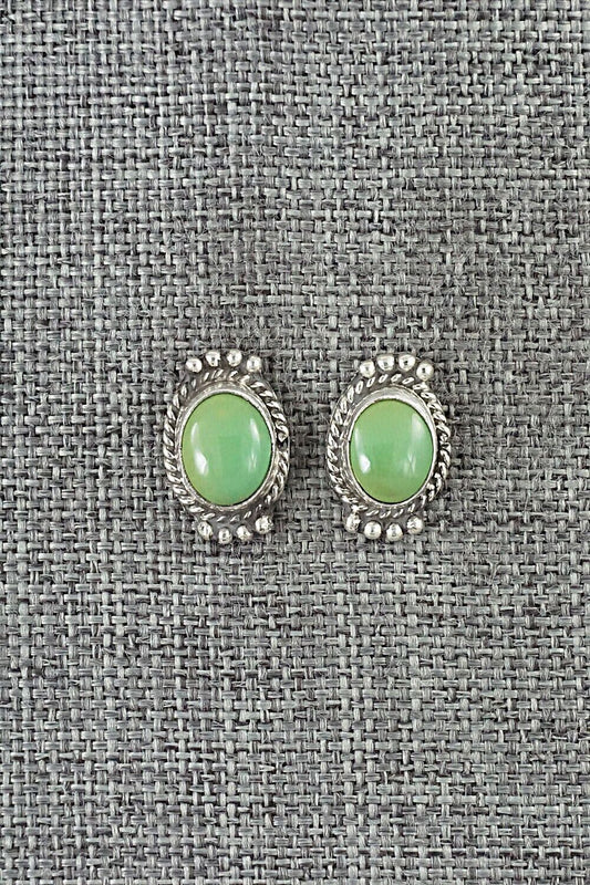 Turquoise & Sterling Silver Earrings - Jan Mariano