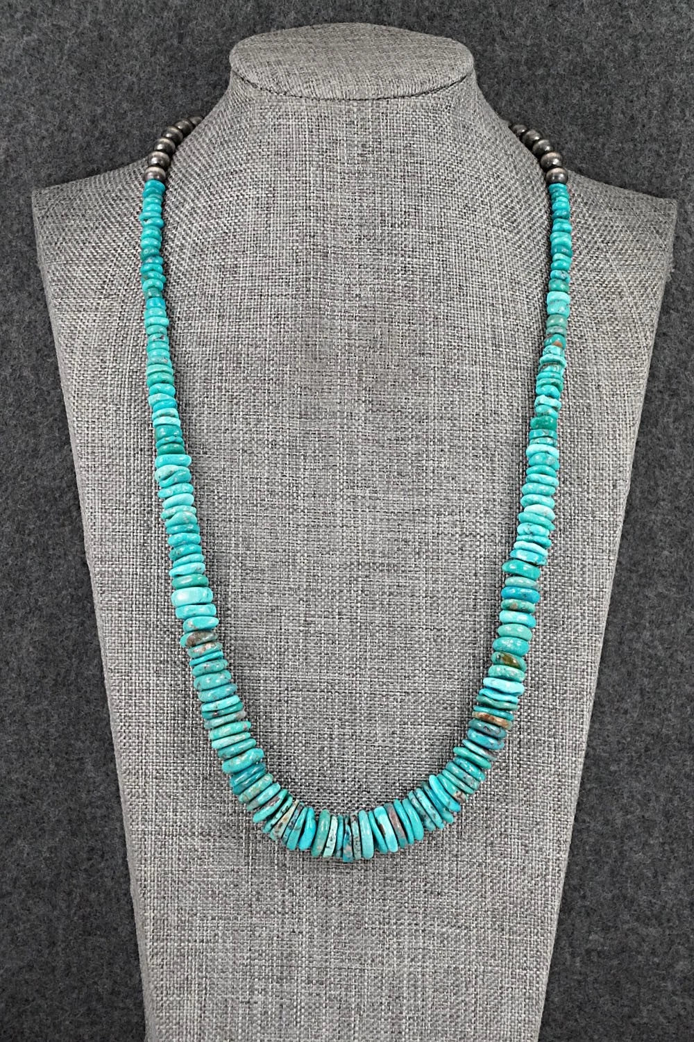 Turquoise & Sterling Silver Necklace 22" - Doreen Jake
