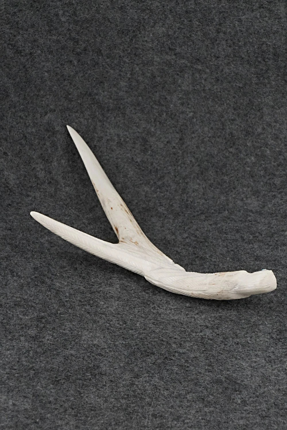 Eagle Zuni Fetish Carving - Derrick Kammasee