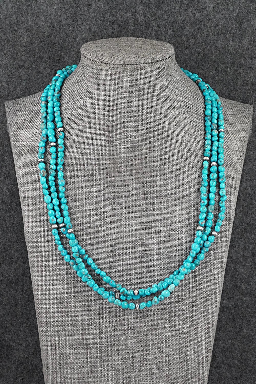 Turquoise & Sterling Silver Necklace - Theresa Skeets