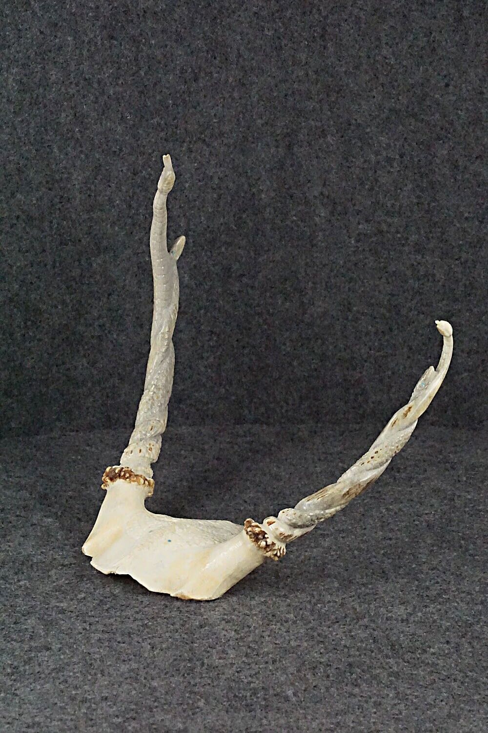 Rattlesnakes Zuni Fetish Carving - Maxx Laate