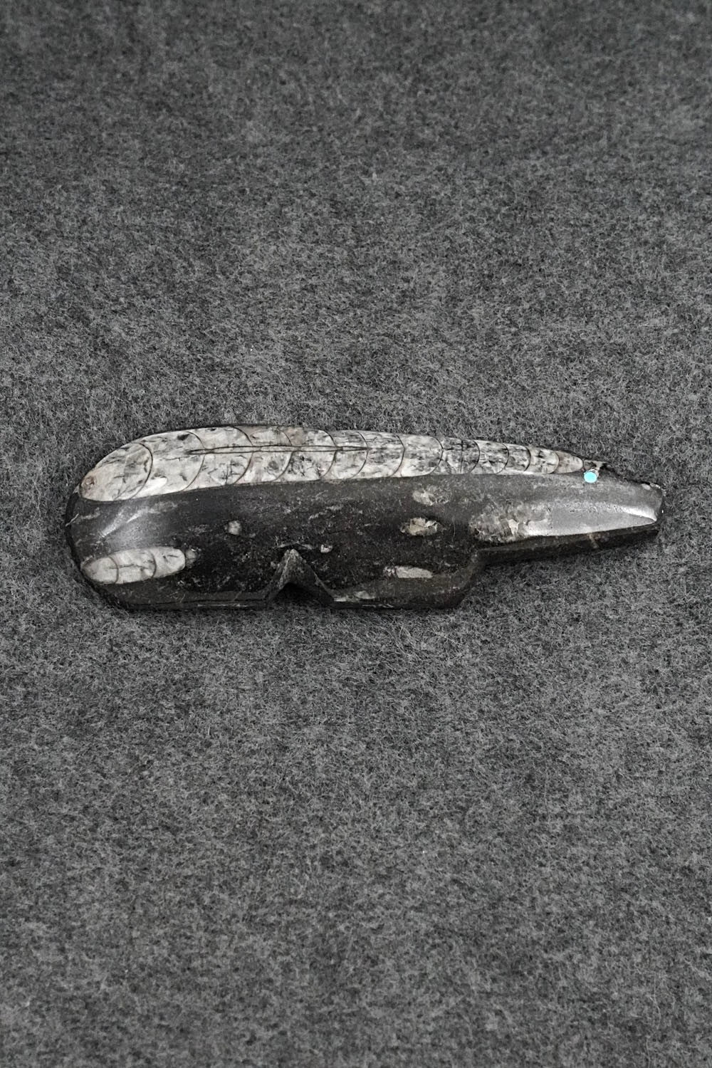 Bear Zuni Fetish Carving - Bernard Laiwakete