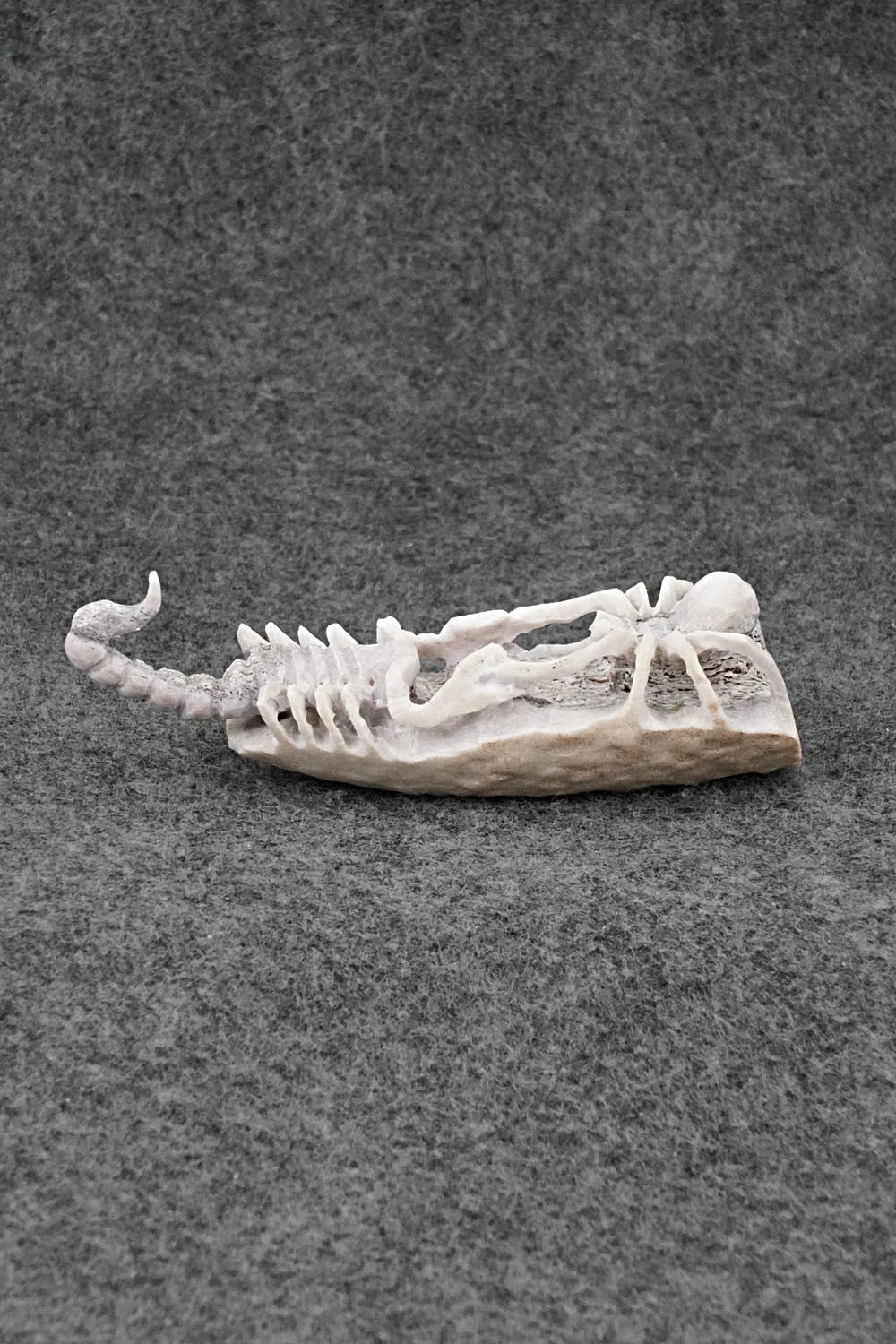 Spider & Scorpion Zuni Fetish Carving - Lewis Malie