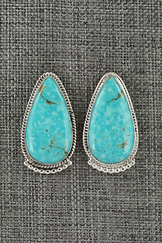 Turquoise & Sterling Silver Earrings - Verley Betone