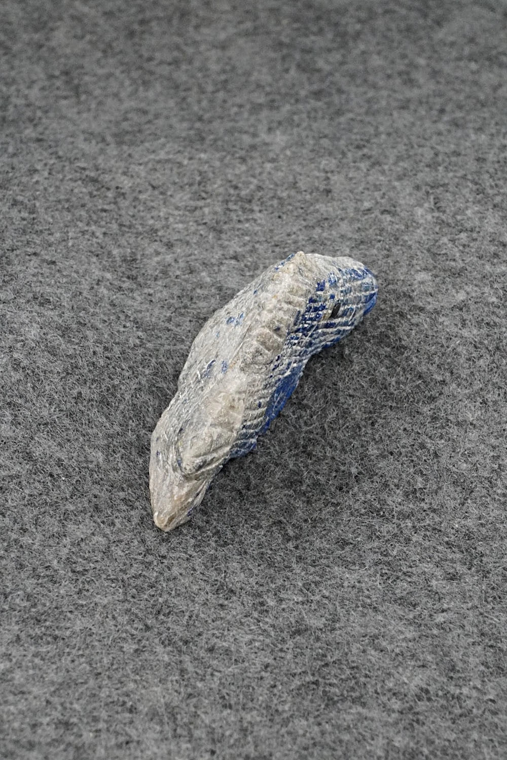 Fish Zuni Fetish Carving - Adrian Pablito
